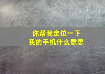 你帮我定位一下我的手机什么意思