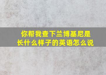 你帮我查下兰博基尼是长什么样子的英语怎么说