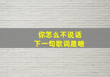 你怎么不说话下一句歌词是啥