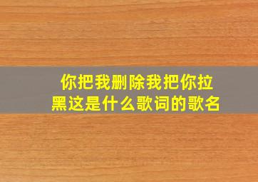 你把我删除我把你拉黑这是什么歌词的歌名