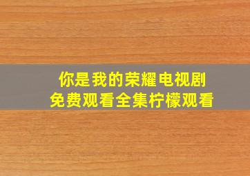 你是我的荣耀电视剧免费观看全集柠檬观看