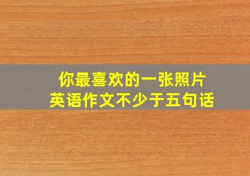 你最喜欢的一张照片英语作文不少于五句话