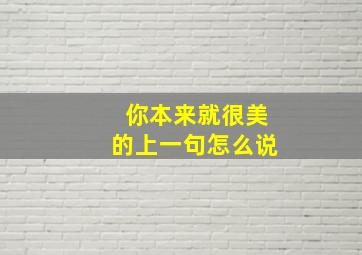 你本来就很美的上一句怎么说