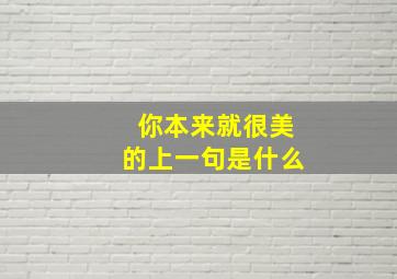 你本来就很美的上一句是什么