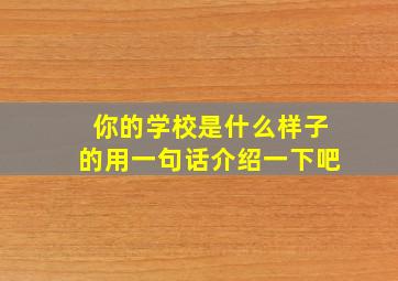 你的学校是什么样子的用一句话介绍一下吧