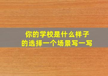 你的学校是什么样子的选择一个场景写一写