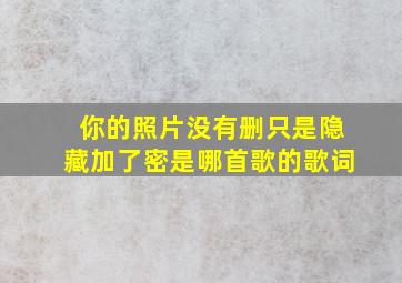 你的照片没有删只是隐藏加了密是哪首歌的歌词