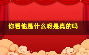 你看他是什么呀是真的吗