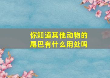 你知道其他动物的尾巴有什么用处吗