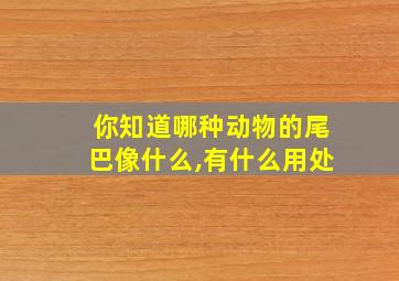 你知道哪种动物的尾巴像什么,有什么用处