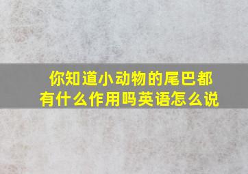 你知道小动物的尾巴都有什么作用吗英语怎么说