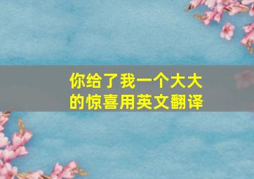 你给了我一个大大的惊喜用英文翻译