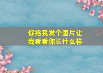 你给我发个图片让我看看你长什么样