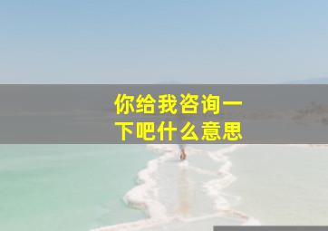 你给我咨询一下吧什么意思