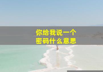 你给我说一个密码什么意思