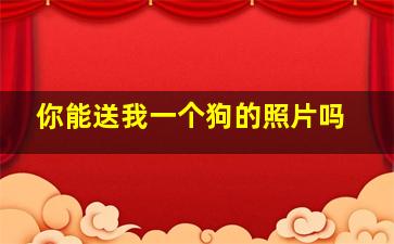 你能送我一个狗的照片吗