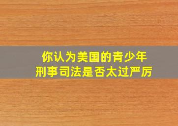 你认为美国的青少年刑事司法是否太过严厉