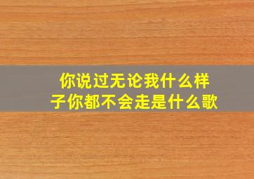 你说过无论我什么样子你都不会走是什么歌