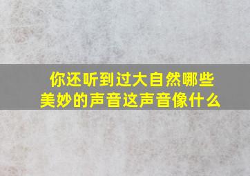 你还听到过大自然哪些美妙的声音这声音像什么