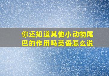 你还知道其他小动物尾巴的作用吗英语怎么说