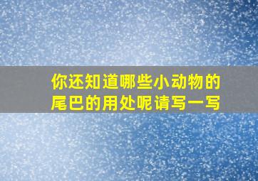 你还知道哪些小动物的尾巴的用处呢请写一写