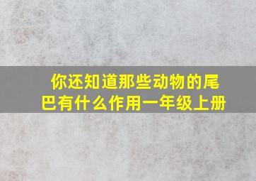 你还知道那些动物的尾巴有什么作用一年级上册