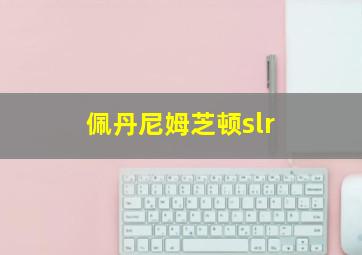 佩丹尼姆芝顿slr