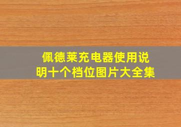 佩德莱充电器使用说明十个档位图片大全集