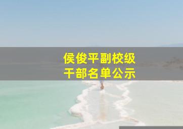 侯俊平副校级干部名单公示