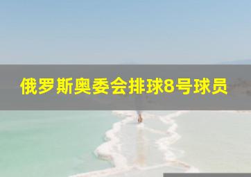 俄罗斯奥委会排球8号球员