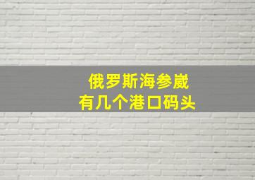 俄罗斯海参崴有几个港口码头