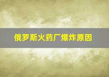 俄罗斯火药厂爆炸原因