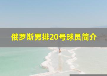 俄罗斯男排20号球员简介