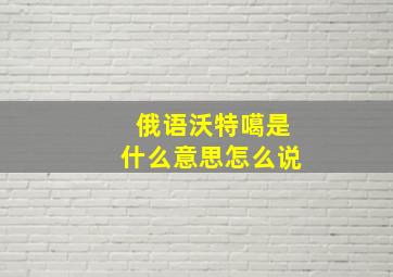 俄语沃特噶是什么意思怎么说