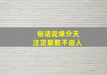 俗话说缘分天注定聚散不由人