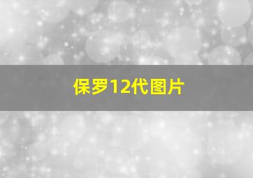 保罗12代图片