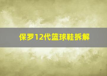 保罗12代篮球鞋拆解