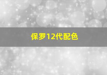 保罗12代配色