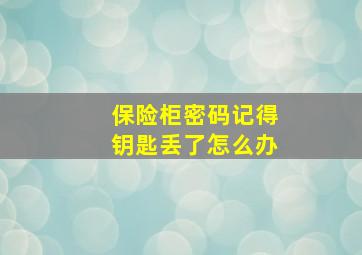 保险柜密码记得钥匙丢了怎么办