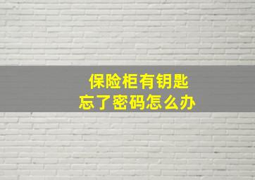 保险柜有钥匙忘了密码怎么办