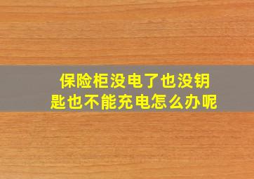 保险柜没电了也没钥匙也不能充电怎么办呢