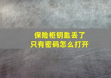 保险柜钥匙丢了只有密码怎么打开