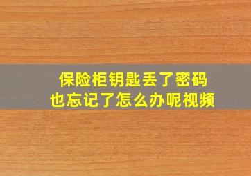 保险柜钥匙丢了密码也忘记了怎么办呢视频