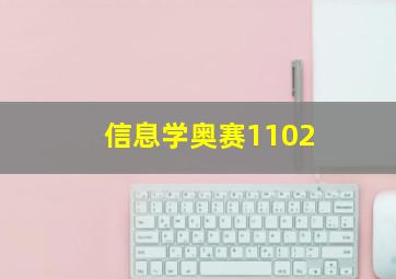 信息学奥赛1102