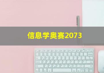 信息学奥赛2073