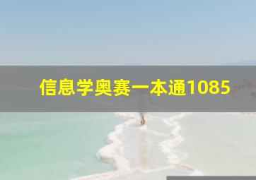 信息学奥赛一本通1085