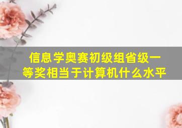 信息学奥赛初级组省级一等奖相当于计算机什么水平