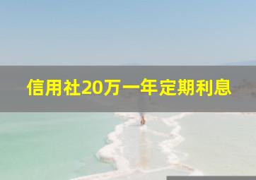 信用社20万一年定期利息