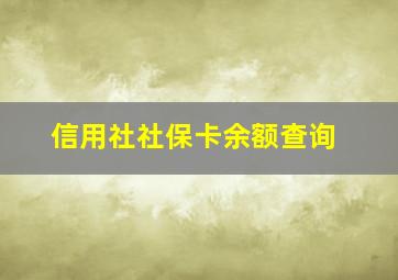 信用社社保卡余额查询