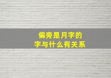 偏旁是月字的字与什么有关系